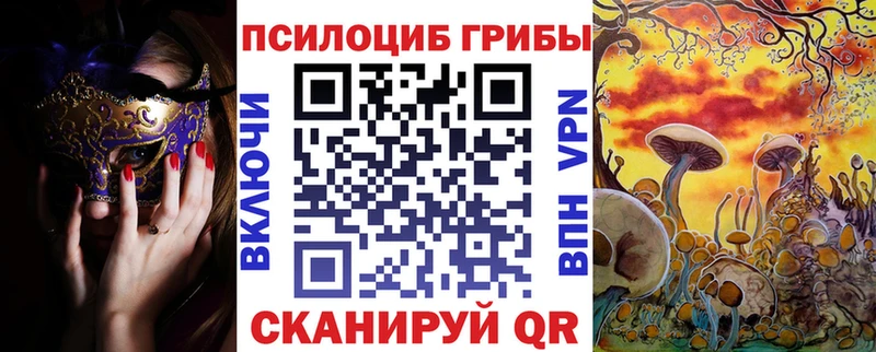 Галлюциногенные грибы Psilocybine cubensis blacksprut онион Бор купить